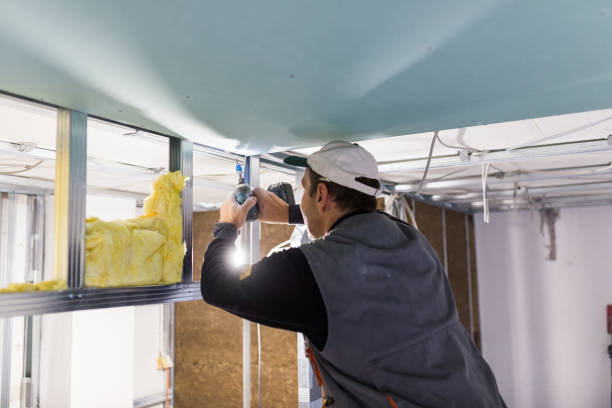 Insulation Repair Services in Gonzales, LA